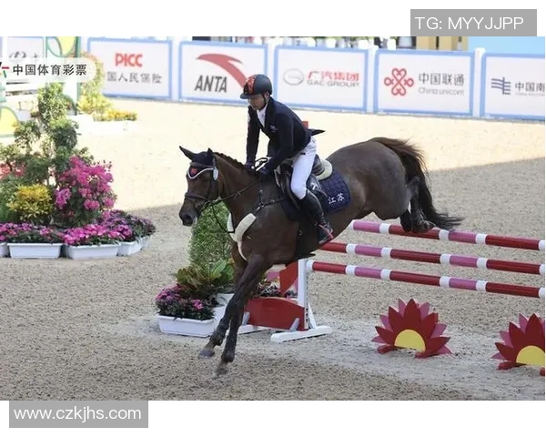 十五运马术竞赛行将举办，先到深博看古代“立刻运动”